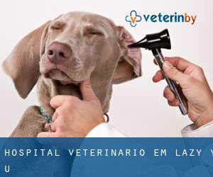 Hospital veterinário em Lazy Y U