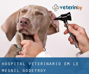 Hospital veterinário em Le Mesnil Godefroy
