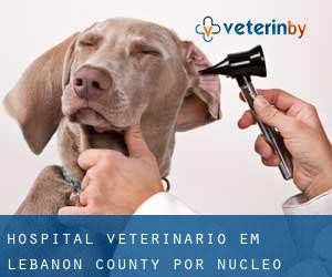 Hospital veterinário em Lebanon County por núcleo urbano - página 2