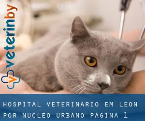 Hospital veterinário em Leon por núcleo urbano - página 1