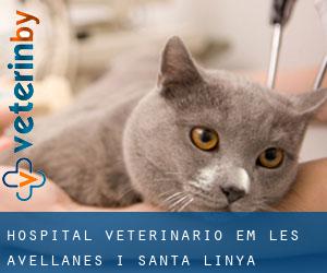 Hospital veterinário em les Avellanes i Santa Linya