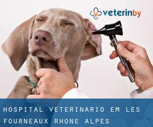Hospital veterinário em Les Fourneaux (Rhône-Alpes)