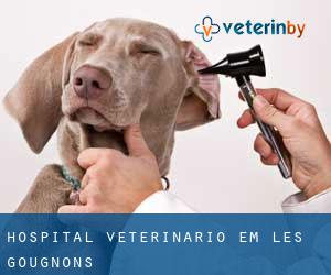 Hospital veterinário em Les Gougnons