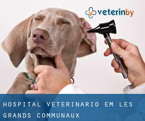 Hospital veterinário em Les Grands Communaux