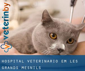 Hospital veterinário em Les Grands-Mesnils