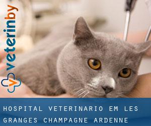 Hospital veterinário em Les Granges (Champagne-Ardenne)