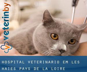 Hospital veterinário em Les Haies (Pays de la Loire)