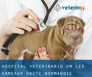 Hospital veterinário em Les Hameaux (Haute-Normandie)