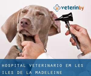 Hospital veterinário em Les Îles-de-la-Madeleine
