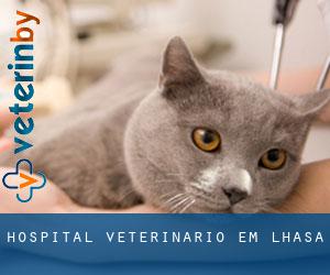 Hospital veterinário em Lhasa