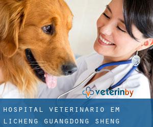 Hospital veterinário em Licheng (Guangdong Sheng)