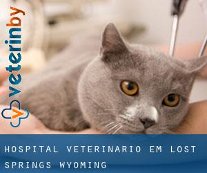 Hospital veterinário em Lost Springs (Wyoming)