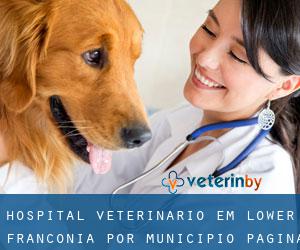 Hospital veterinário em Lower Franconia por município - página 4