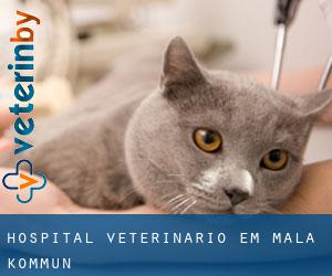 Hospital veterinário em Malå Kommun