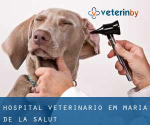 Hospital veterinário em Maria de la Salut