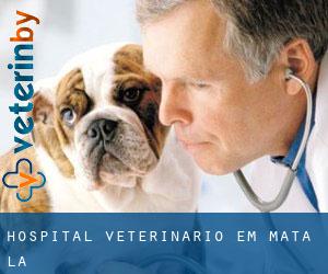 Hospital veterinário em Mata (La)