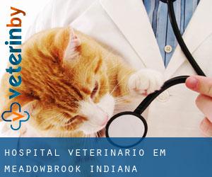Hospital veterinário em Meadowbrook (Indiana)