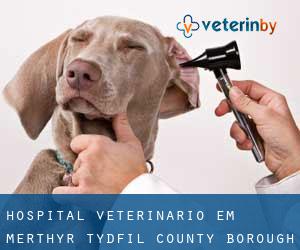 Hospital veterinário em Merthyr Tydfil (County Borough)