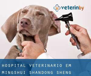 Hospital veterinário em Mingshui (Shandong Sheng)