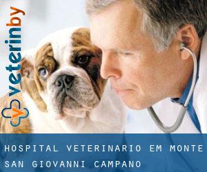 Hospital veterinário em Monte San Giovanni Campano