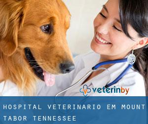Hospital veterinário em Mount Tabor (Tennessee)