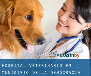 Hospital veterinário em Municipio de La Democracia