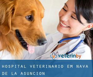 Hospital veterinário em Nava de la Asunción
