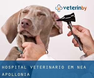 Hospital veterinário em Néa Apollonía