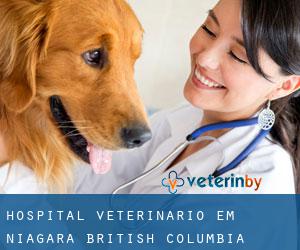 Hospital veterinário em Niagara (British Columbia)