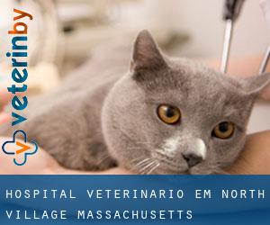 Hospital veterinário em North Village (Massachusetts)