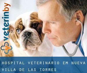 Hospital veterinário em Nueva Villa de las Torres