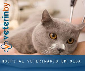 Hospital veterinário em Olga