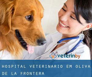 Hospital veterinário em Oliva de la Frontera