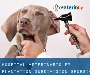 Hospital veterinário em Plantation Subdivision (Georgia)