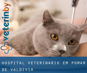Hospital veterinário em Pomar de Valdivia