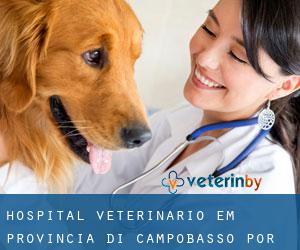 Hospital veterinário em Provincia di Campobasso por cidade - página 1
