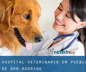 Hospital veterinário em Puebla de Don Rodrigo