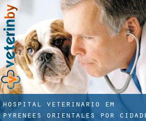 Hospital veterinário em Pyrénées-Orientales por cidade - página 1