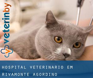 Hospital veterinário em Rivamonte Agordino