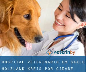 Hospital veterinário em Saale-Holzland-Kreis por cidade importante - página 1