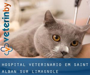 Hospital veterinário em Saint-Alban-sur-Limagnole