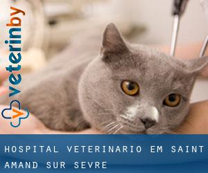 Hospital veterinário em Saint-Amand-sur-Sèvre