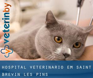 Hospital veterinário em Saint-Brevin-les-Pins