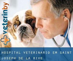 Hospital veterinário em Saint-Joseph-de-la-Rive