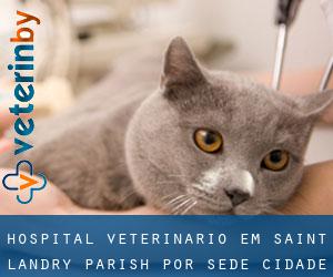Hospital veterinário em Saint Landry Parish por sede cidade - página 1