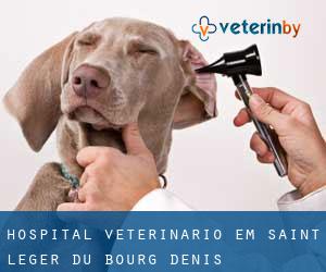Hospital veterinário em Saint-Léger-du-Bourg-Denis