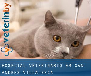 Hospital veterinário em San Andrés Villa Seca