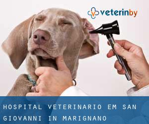 Hospital veterinário em San Giovanni in Marignano