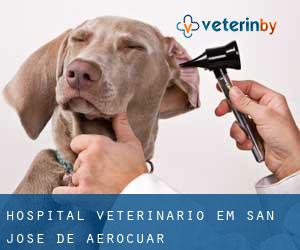 Hospital veterinário em San José de Aerocuar