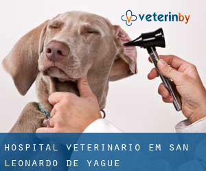 Hospital veterinário em San Leonardo de Yagüe
